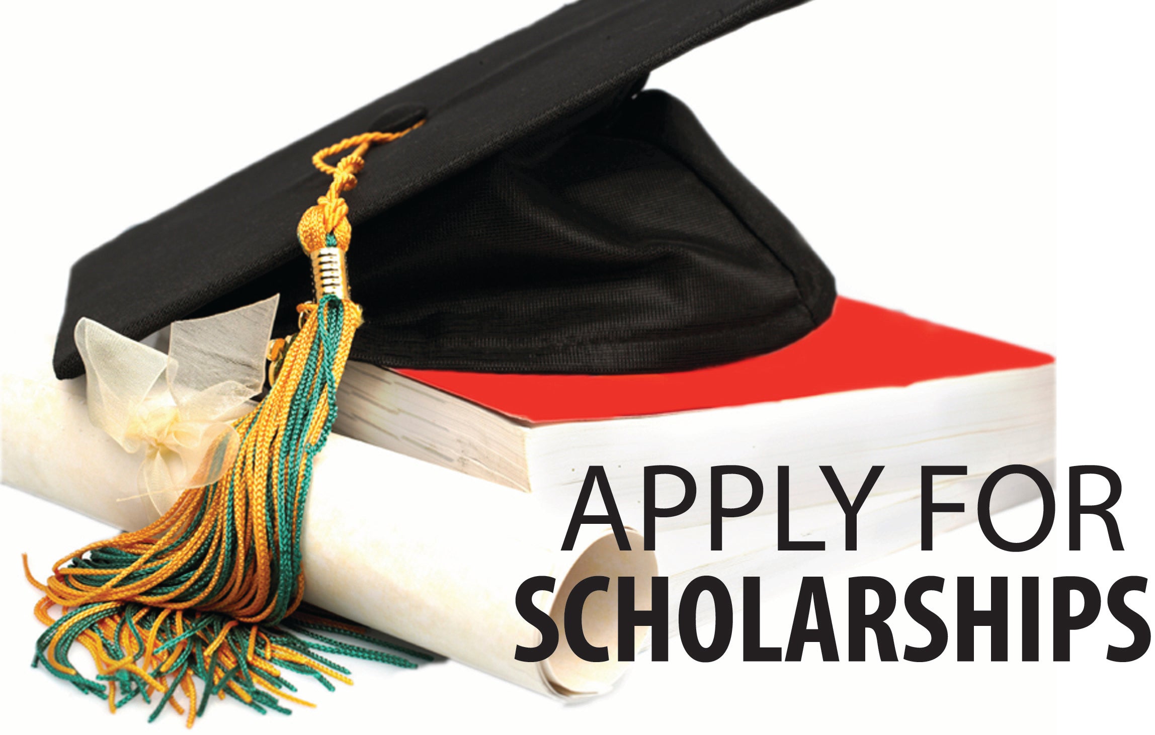 Scholarships | Rural Electric Cooperative